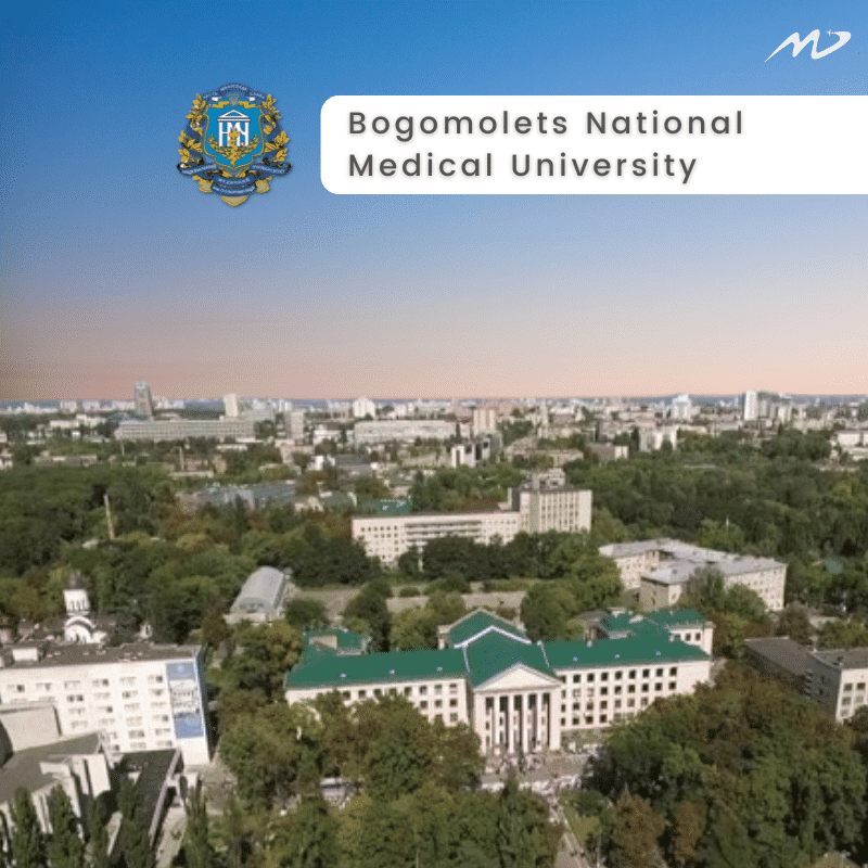 Most Popular University (4)